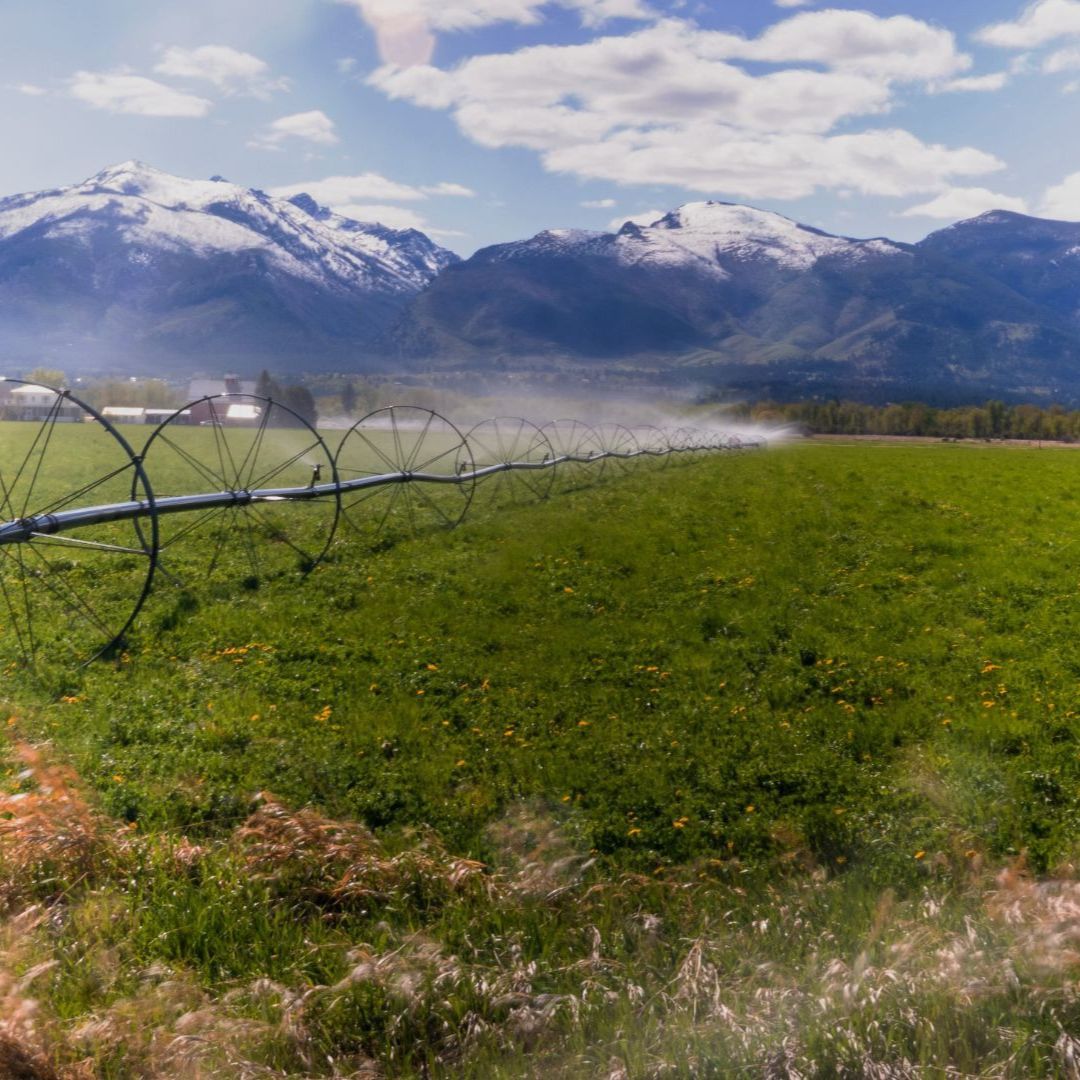 Some Awesome Things To Do In Kalispell, MT